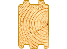 variant1