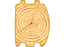 variant2