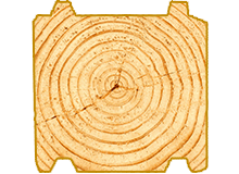variant3