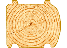 variant4