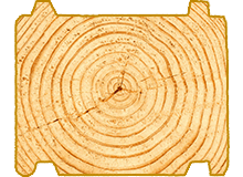 variant5