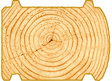 variant6